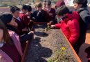 Cultiva vida: proyecto Huerto escolar